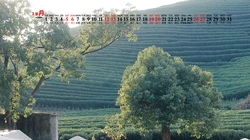 清新自然，树木，屋舍，花草香，2020年12月小清新日历壁纸图片