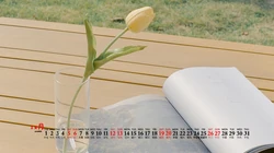 清新自然，树木，屋舍，花草香，2020年12月小清新日历壁纸图片