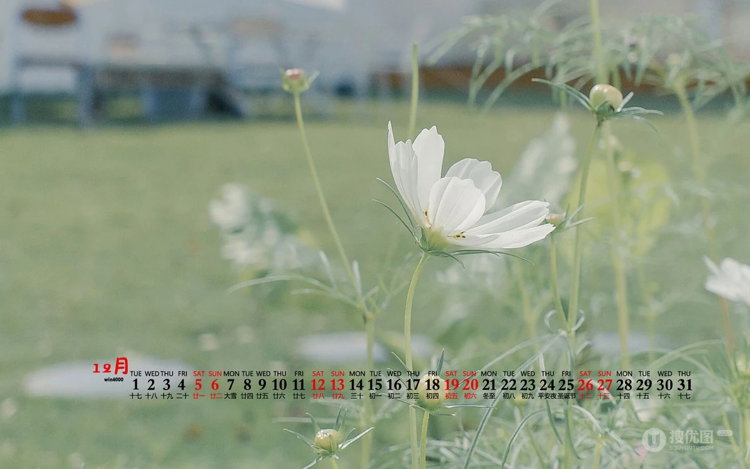 清新自然，树木，屋舍，花草香，2020年12月小清新日历壁纸图片