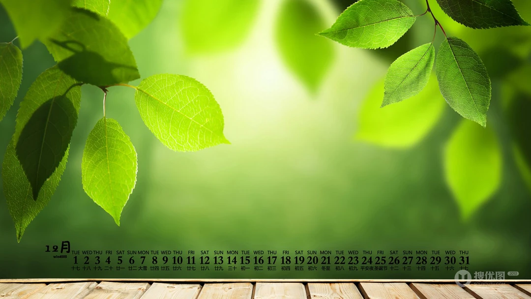 阳光，绿叶，小清新，2020年12月绿色主题植物系列日历壁纸图片
