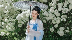 花团锦簇 绣球花前 手执伞的古装汉服清新美女户外写真壁纸图片