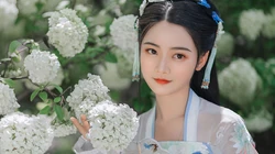 花团锦簇 绣球花前 手执伞的古装汉服清新美女户外写真壁纸图片