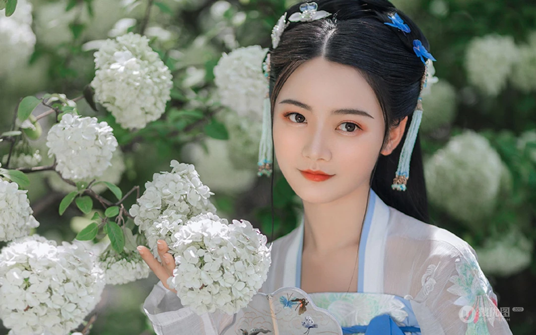 花团锦簇 绣球花前 手执伞的古装汉服清新美女户外写真壁纸图片