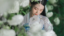 花团锦簇 绣球花前 手执伞的古装汉服清新美女户外写真壁纸图片