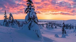 皑皑白雪 雪山 暖阳 木屋 山间农舍 车轱辘印 唯美雪景壁纸图片