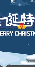 圣诞节欢乐购，圣诞促销，礼遇季等宣传广告海报设计壁纸图片