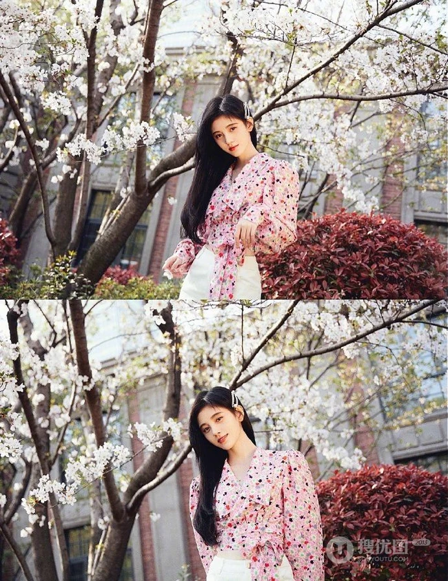 鞠婧祎小碎花印花衬衫清新清新户外写真图片