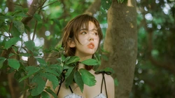 美少女林木婷子 森系 户外 宛若精灵般美少女高清写真桌面壁纸图片