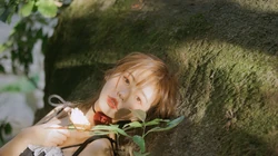 美少女林木婷子 森系 户外 宛若精灵般美少女高清写真桌面壁纸图片