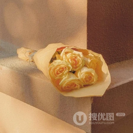 简单，干净，小清新绿色清新风景，植物，小物件等静物微信头像图片