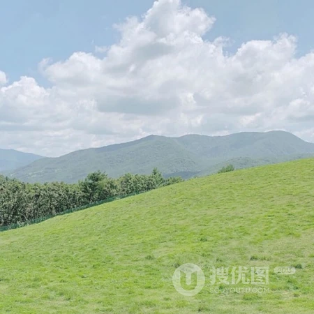 简单，干净，小清新绿色清新风景，植物，小物件等静物微信头像图片