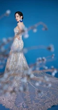 张萌气质V领礼裙青花瓷亮闪长裙古装扮相写真照片