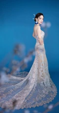 张萌气质V领礼裙青花瓷亮闪长裙古装扮相写真照片
