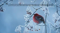 雪景，雪山，森系，湖泊等2021年1月日历壁纸图片