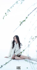 头戴花草，或绿叶的女演员林允V领公主裙着身气质灵动写真照片
