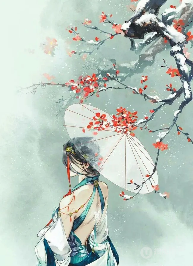 寒梅，梅花树下 执伞露背的古装女生手绘插画美图