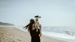 美丽的海滩风景，冲浪的欧美型男美女高清壁纸合集