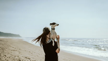 美丽的海滩风景，冲浪的欧美型男美女高清壁纸合集