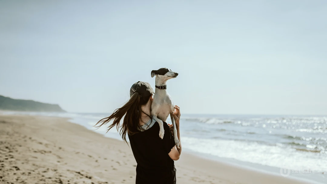 美丽的海滩风景，冲浪的欧美型男美女高清壁纸合集