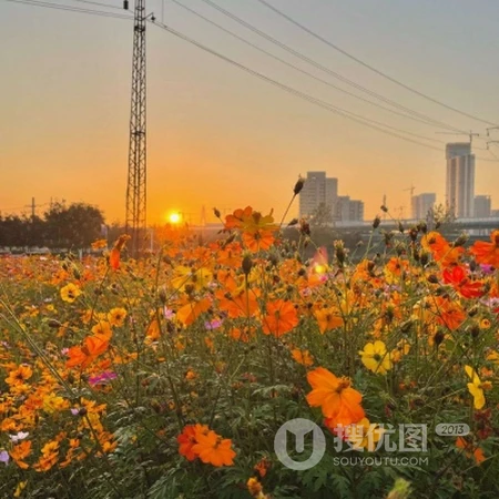 一看就很舒服，生活中的小美好就这么简单，简单唯美景物微信头像图片