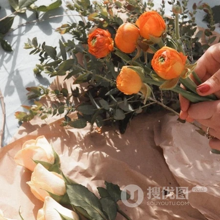 一看就很舒服，生活中的小美好就这么简单，简单唯美景物微信头像图片