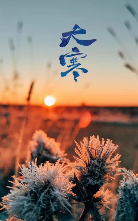 落日 黄昏下 结霜的带刺植物 冰花 唯美大寒文字手机壁纸图片
