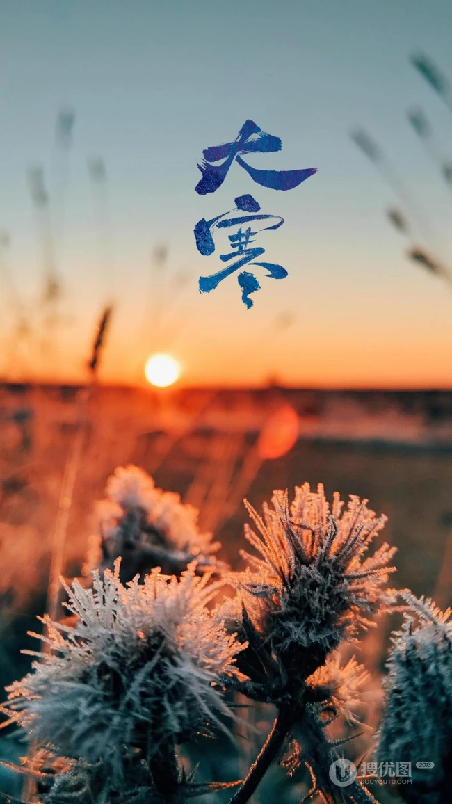 落日 黄昏下 结霜的带刺植物 冰花 唯美大寒文字手机壁纸图片