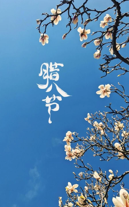 梅花 蓝天 带字 腊八节文字手机壁纸图片
