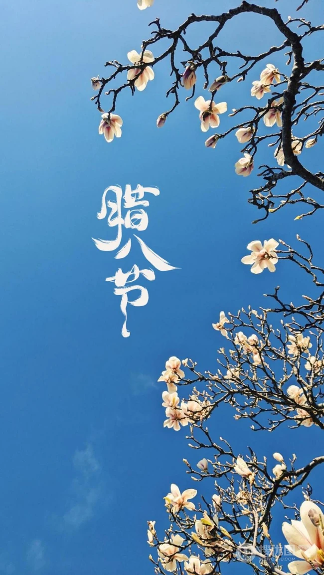 梅花 蓝天 带字 腊八节文字手机壁纸图片