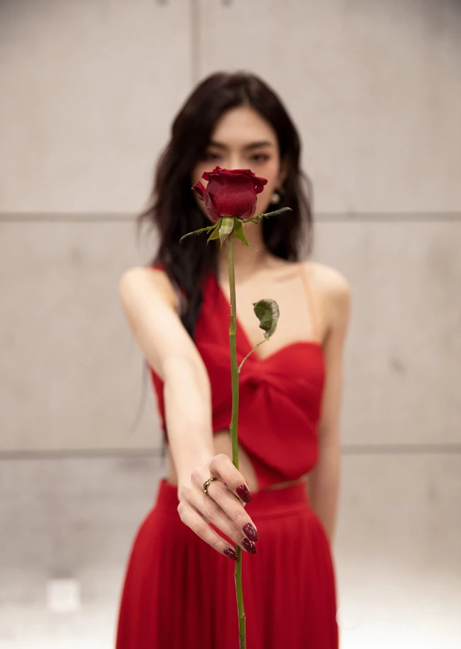 曾可妮浓妆淡抹，手拿玫瑰，身着针织红裙气质动人写真照片