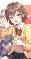 穿着可爱学生制服，短裙，长筒袜装的二次元动漫少女高清图集欣赏