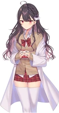 穿着可爱学生制服，短裙，长筒袜装的二次元动漫少女高清图集欣赏