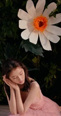 关晓彤身着V领无袖粉裙，化身花间少女，温柔可人高清写真照