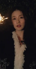 白鹿手拿小烟花夜晚户外燃放烟花浪漫可人写真美照