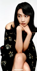宋茜优雅柔美复古风装扮穿搭气质写真图片