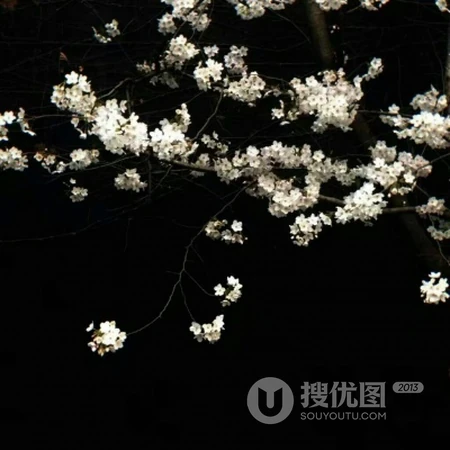 暗黑伤感头像，生活中的物品，物件，杂物等静物暗黑头像伤感图片