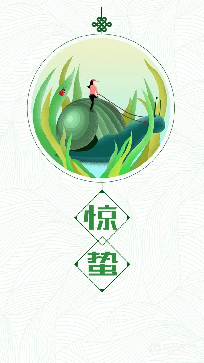 小清新，绿色可爱卡通二十四节气之惊蛰精选手机壁纸图片套图