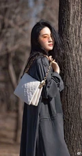 刘亦菲手拿白色小包户外小树林酷美写真照片