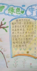 植树节手抄报，小学生纯手写设计绘画的植树节手抄报作品图片欣赏
