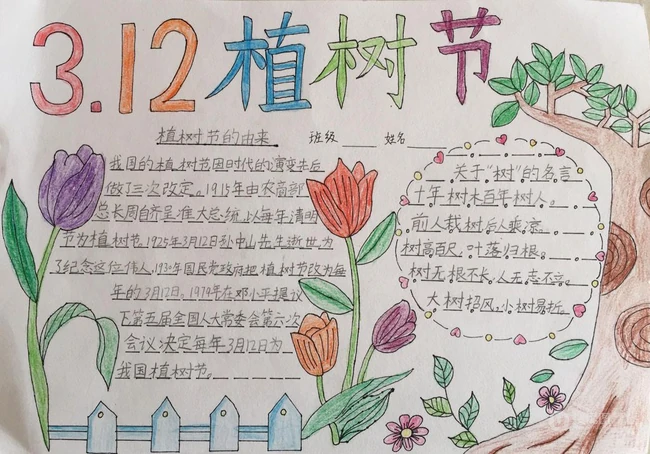 植树节手抄报，小学生纯手写设计绘画的植树节手抄报作品图片欣赏