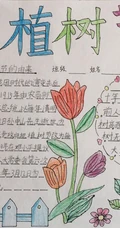 植树节手抄报，小学生纯手写设计绘画的植树节手抄报作品图片欣赏