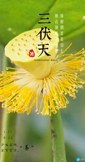 2021年三伏天时间表精选手机壁纸图片