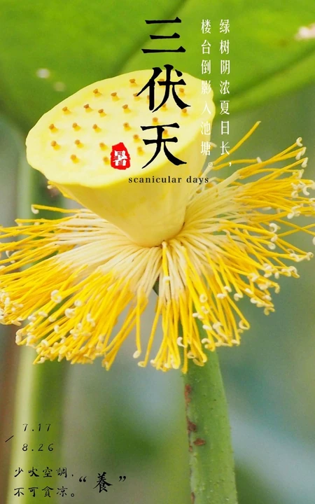 2021年三伏天时间表精选手机壁纸图片