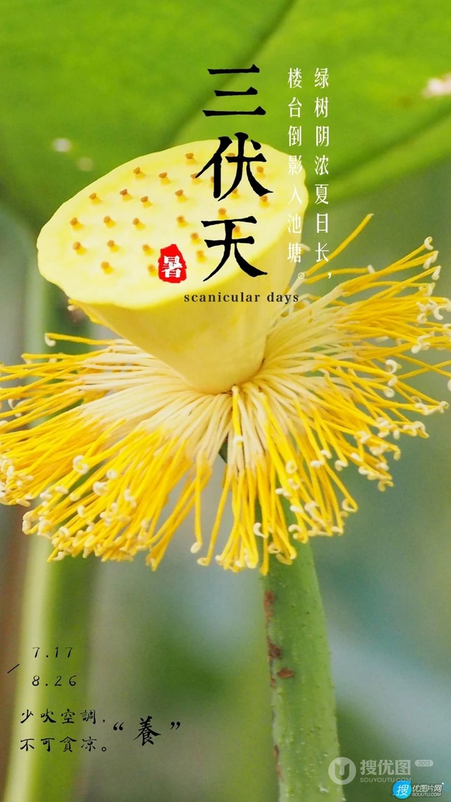 2021年三伏天时间表精选手机壁纸图片