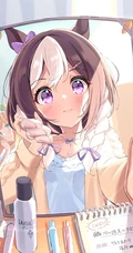 电视动画《赛马娘 Pretty Derby》精选可爱二次元人物插画壁纸大图图集