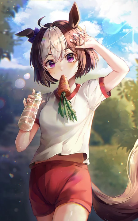 电视动画《赛马娘 Pretty Derby》精选可爱二次元人物插画壁纸大图图集