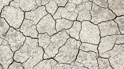 干枯干裂的土地，土壤，大地桌面壁纸图片