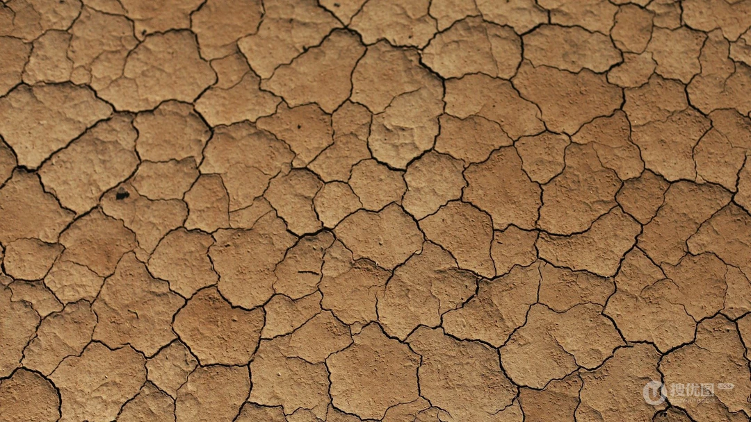 干枯干裂的土地，土壤，大地桌面壁纸图片