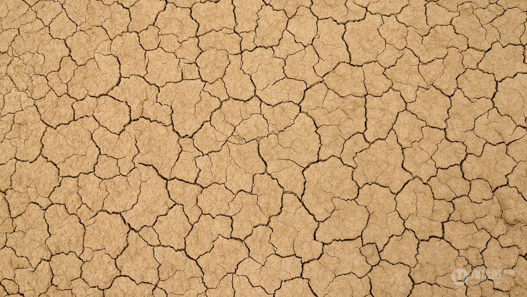 干枯干裂的土地，土壤，大地桌面壁纸图片