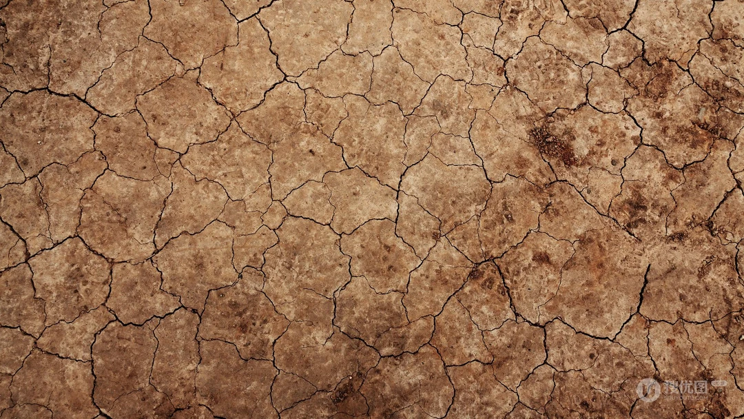 干枯干裂的土地，土壤，大地桌面壁纸图片